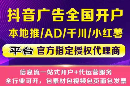 某知名企业SEM营销全案解析